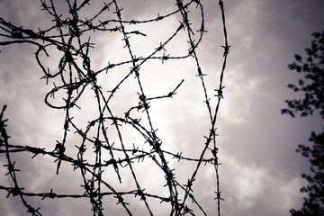 Barbed wire fence - toned image