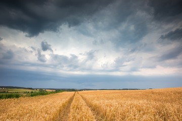 Fototapeta na wymiar Stormy sky over field