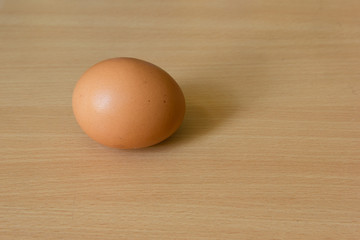 Egg