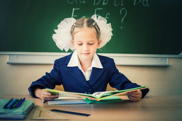 Schoolgirl sitting at desk, school classroom, and reading book