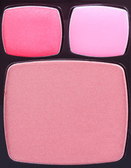 Make-up blush palette