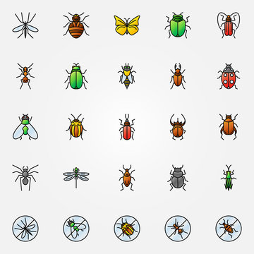 Colorful insects icons