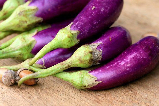 Purple eggplants