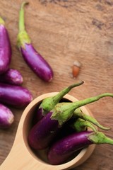 Purple eggplants