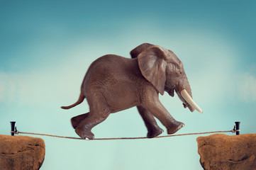 Fototapeta na wymiar elephant running across a tightrope