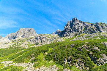 Green Starolesna valley in summer landscape of High Tatra Mountains, Slovakia