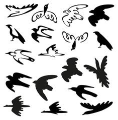 Obraz premium stylized birds and silhouettes