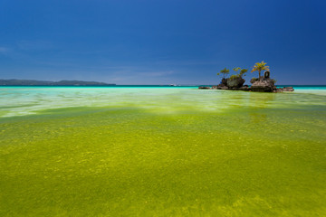 Willy's rock in green seaweed. Boracay, Philippines