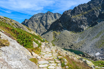 Hiking path in Starolesna valley in summer landscape of High Tatra Mountains, Slovakia