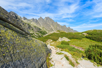 Hiking path in green Starolesna valley in High Tatra Mountains on sunny summer day, Slovakia