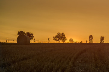 Kornfeld, Strohballen, Sommerabend