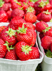 Vertical closeup for packages with fresh strawberries