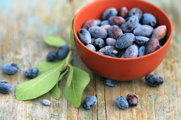 Honeysuckle berries in bowl on wooden surface