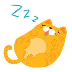 fluffy sleeping sweet dream  cat vector .