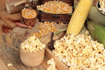 Popcorn and yellow dry corn grain with fresh corn.