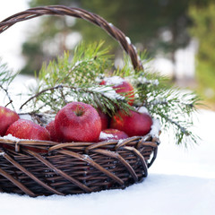 Red apples in basket in snow, outside