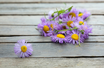 Beautiful small wild flowers on wooden background