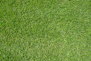 Bilder und Videos suchen: spielfläche