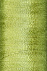 bobbinof green  thread