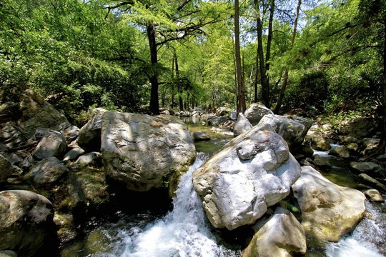 Los Troncones, Tamaulipas