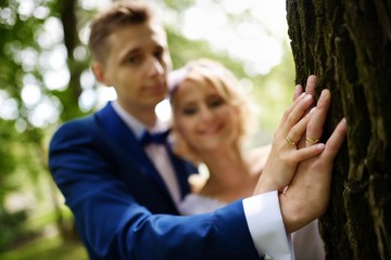 Newlyweds put hands with rings on a tree