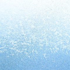Fototapeta na wymiar Icy Frost on winter morning