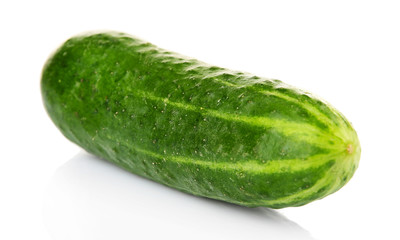 Ripe cucumber isolated on white