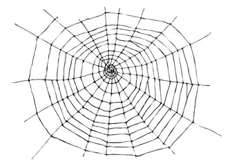 Obraz premium hand sketch spider web
