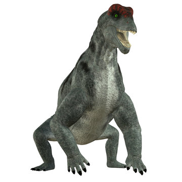 Moschops Herbivore Dinosaur - Moschops was a primeval herbivorous dinosaur that lived in South Africa in the Permian Period.