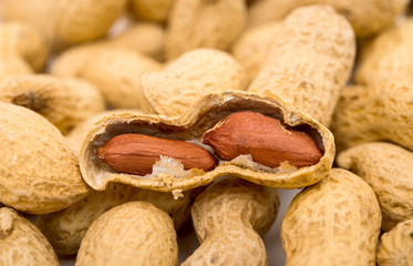 Peanuts in the shell