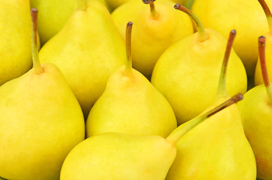 Some ripe yellow pears close up, DOF