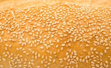 background of bun with sesame seeds