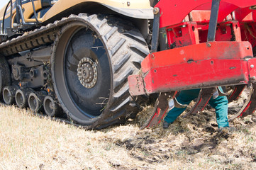 Loosening the soil.