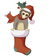 Little monkey popping out from Christmas stocking