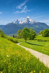 Schilderijen op glas Idyllic landscape in the Alps with meadows and flowers © JFL Photography