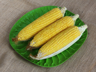  fresh corns on the green dish on the hemp sack