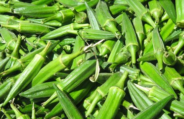 Fresh green summer okra for sale at farm stand