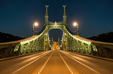 Fototapeta na wymiar Liberty Bridge in Budapest by night