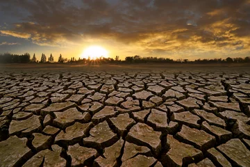 Fototapeten drought land under the sun © WS Films