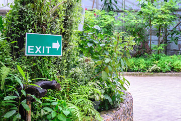 Fototapeta na wymiar Exit sign in indoor garden.