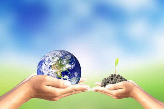We love the world of ideas,World and tree in human hand on nature background. Elements of this image furnished by NASA.