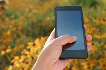 Hand holding smartphone against flower