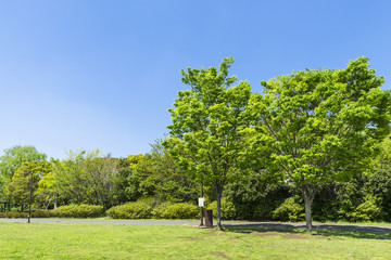 中野平和の森公園