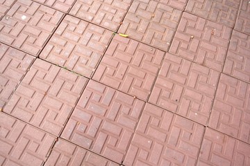 Brick floor pathway