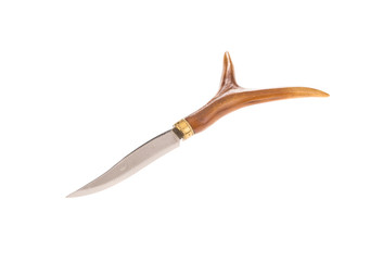 Obraz premium Bowie knife with bone grip.