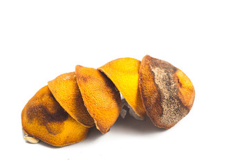Dried lemon citrus peel in white background