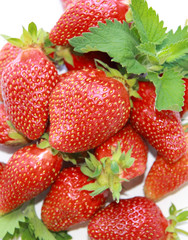 Клубника с мятой на белом фоне