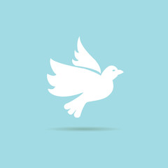 flying dove on a blue background