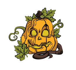 Jack o' Lantern/ A carved out pumpkin