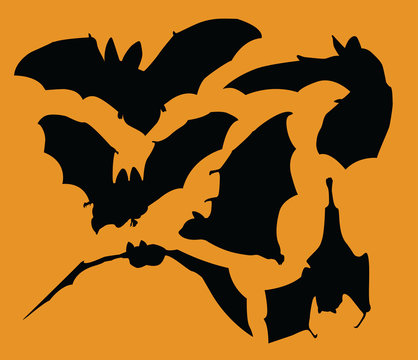 Bats/ A set of bats for Halloween. 
